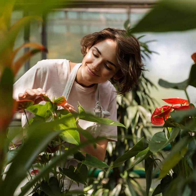 https://www.landscape-maintenance.co.uk/wp-content/uploads/2019/08/team_06-640x640.jpg